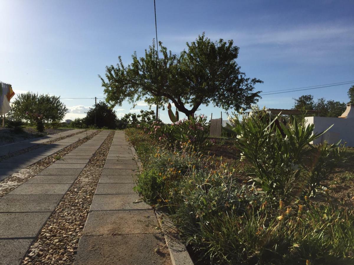 Solar Da Cotovia Villa Albufeira Ngoại thất bức ảnh